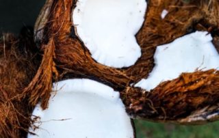 The Many Uses For Coconut Oil